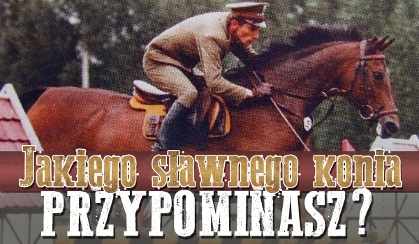 Jakiego słynnego konia przypominasz?