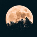 shinne_moon