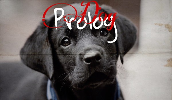 Dog – Prolog: cz.2