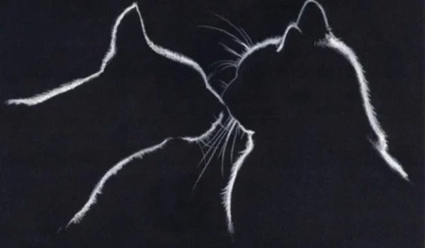 Dar Miodowej Łapy ~ Part four ~