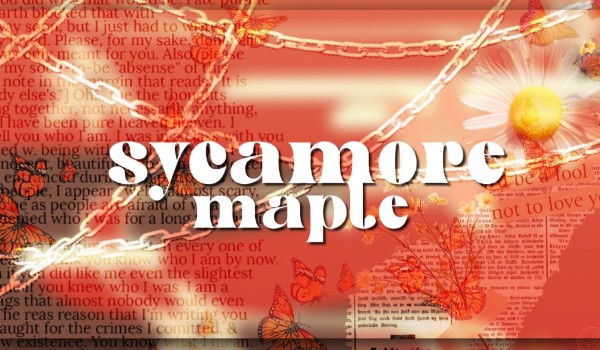 sycamore maple; ep. 雲が鳥の鳴き声を隠す