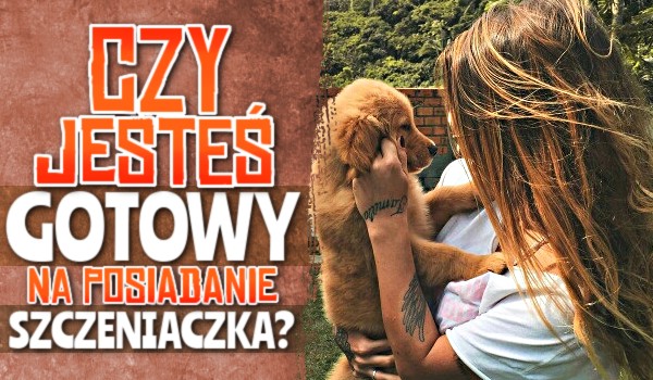 Czy jesteś gotowy na posiadanie szczeniaczka?