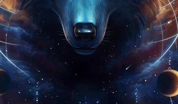 Ocenianie profilu @Purple_Green_shogun