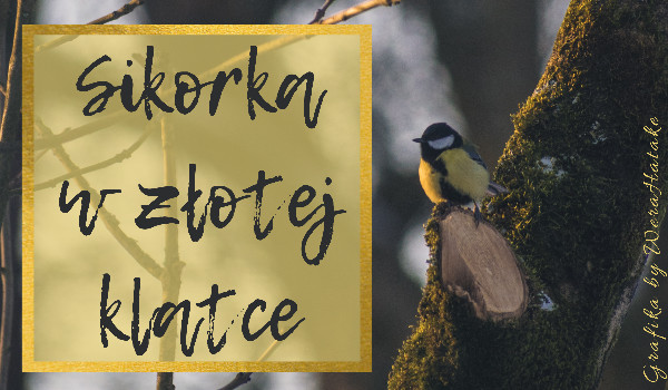 Sikorka w złotej klatce