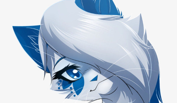 Talksy o Warriorkach 5