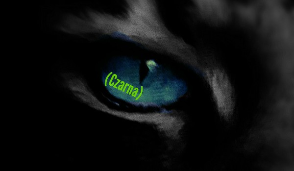 Czarna – rozdział piąty