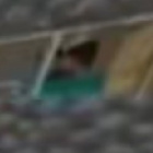 Davidpl1