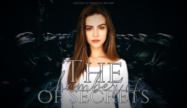 The Chamber of Secrets | Opowiadanie z obserwującymi ~ ZAPISY OTWARTE