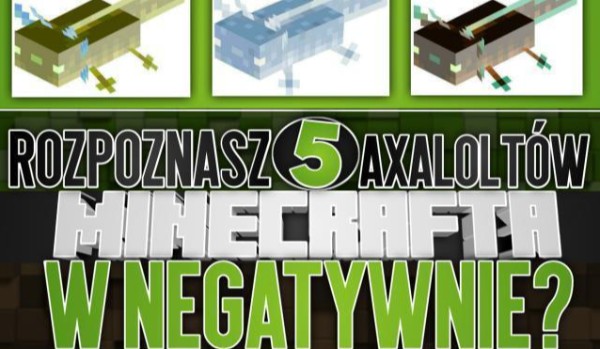Rozpoznasz 5 rodzajów axalotlów z Minecraft w negatywnych kolorach?