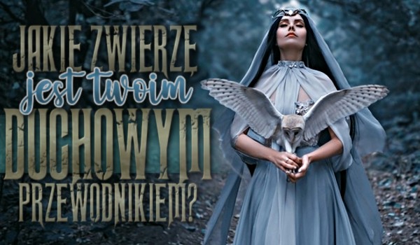 Jakie zwierzę jest Twoim duchowym przewodnikiem?