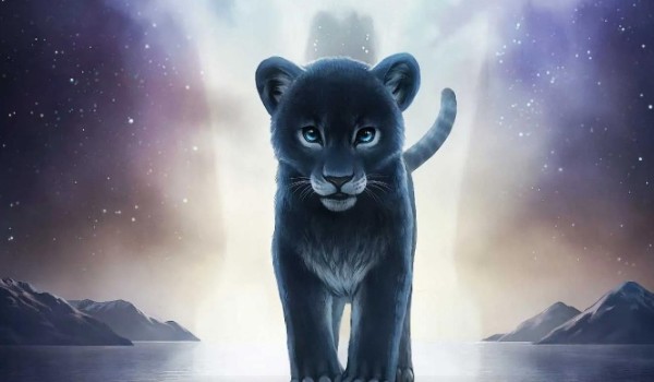 Ocenianie profilu @.Shining_Autumn.