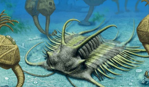 ile wiesz o paleozoiku?