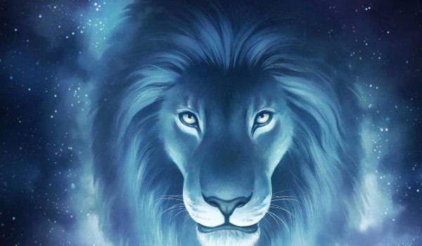 Ocenianie profilu @WeglowaSkora