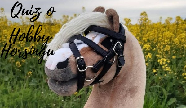 Quiz o Hobby Horsingu