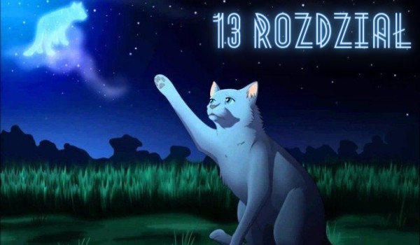 Wojownicy ~ Nowa historia