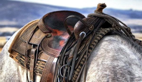 Czy rozpoznasz dyscypliny jeździeckie po siodłach?