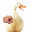 DuckThing