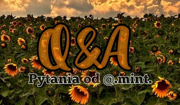 Q&A – pytania od @.mint.