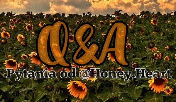 Q&A – pytania od @Honey.Heart