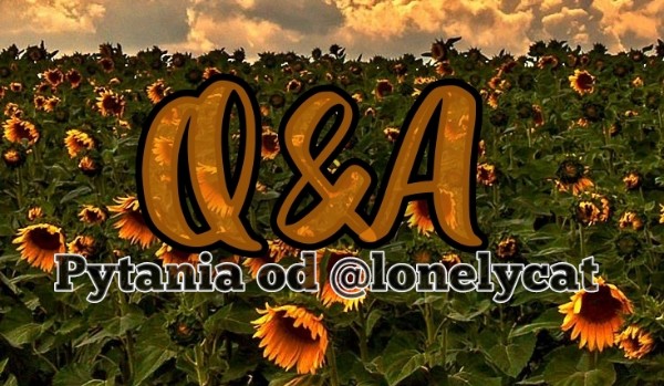 Q&A – pytania od @lonelycat