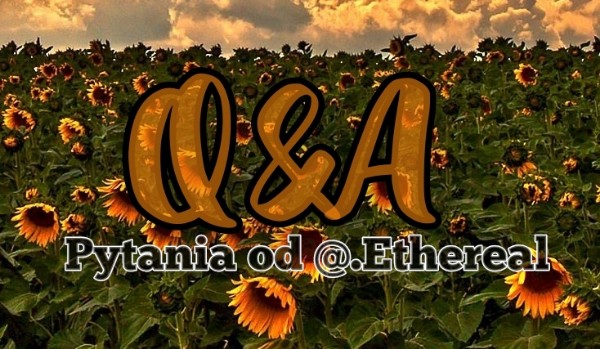 Q&A – pytania od @.Ethereal