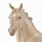 ModelHorse33