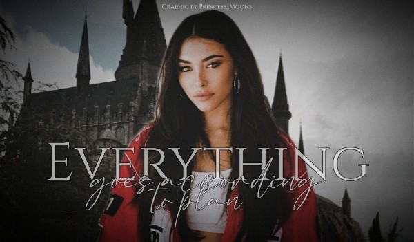 Everything goes according to plan • Harry Potter • Rodział II