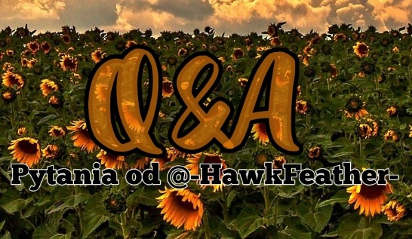 Q&A – pytania od @-HawkFeather-