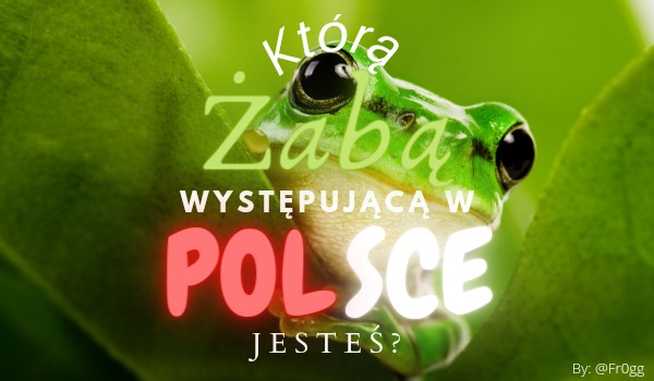 Jaką żabą występującą w Polsce jesteś?