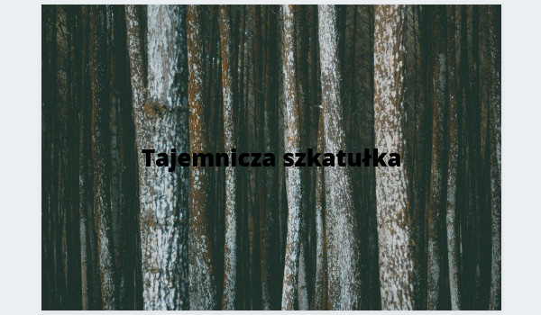 Tajemnicza szkatułka~1~