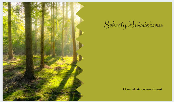 Sekrety Baśnioboru|1|