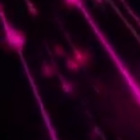 Vel_