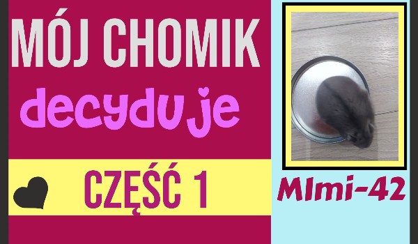 Mój chomik decyduje-cz1!