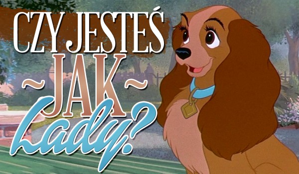 Czy jesteś jak Lady?