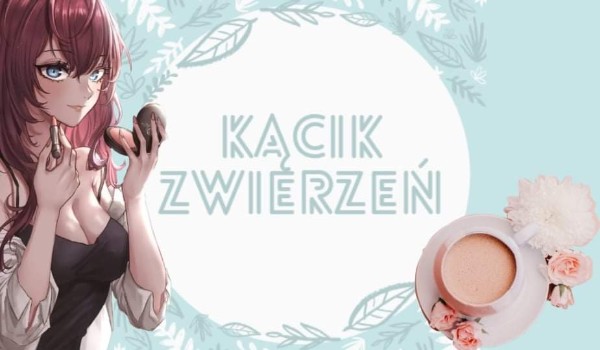 Kącik Zwierzeń