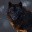 _TheDarkWolf_