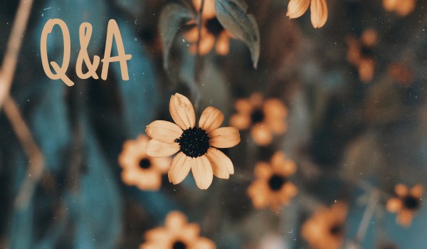 Odpowiedzi na Wasze pytania w Q&A