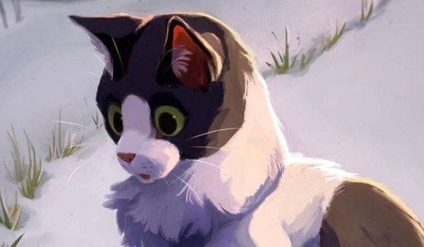 Głucha cisza: Rozdział 2