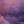 purple.tea