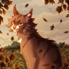 Uwielbiam_.Shining_Autumn.