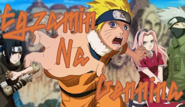 Naruto egzamin na genina (bardzo prosty)