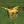 MaroPL