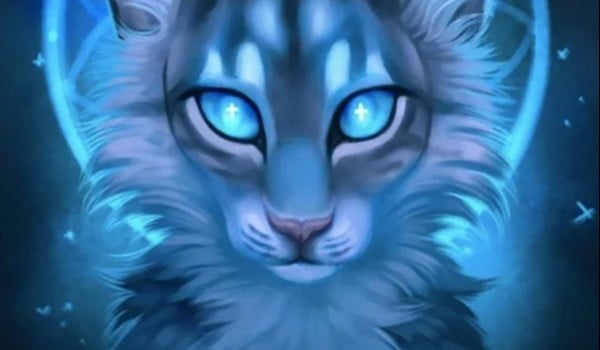Kim z warrior cats jesteś?2