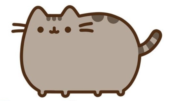 TEST WIEDZY O PUSHEEN CAT!