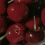 little.cherry
