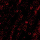 noahbeckmafajnaszyje