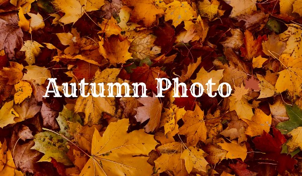Photo Store|Autumn  (zdjęcia z jesienią)