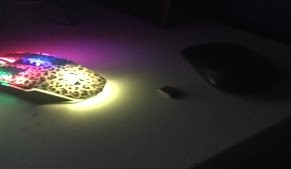 Miej dużego pennisa