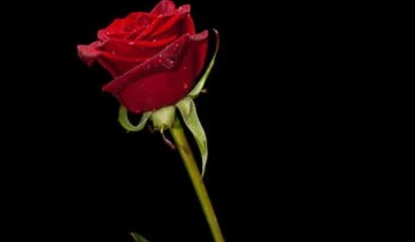 Randka z twoim Crushem!