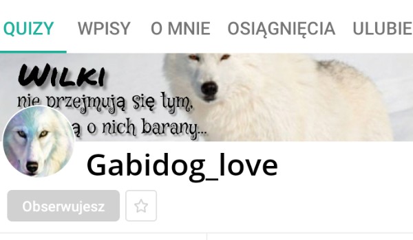 Oceniam profil @Gabidog_love